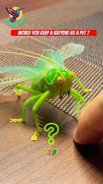 This Tiny Green Insect Is Smarter Than You Think… The Quiet Genius of the Katydid 🌿