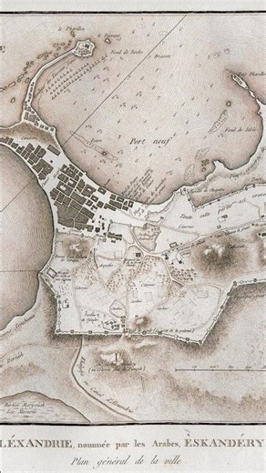 The Amazing Library of Alexandria