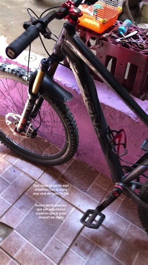 Preparación de Zigna para carrera de Enduro en Esla