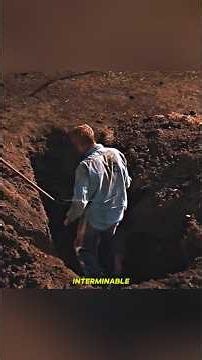 The Prisoner Who Outsmarted an Entire Prison 😱🔥 #shortsvideo #shorts #shortsfeed #shortvideo