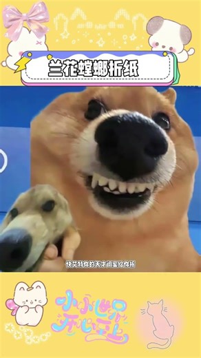 Master the Orchid Mantis Origami in Seconds - Impress Everyone