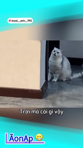 sờ bai đơ men 😂@🎼🌸Muội-.-Muội-.-🌸🎼