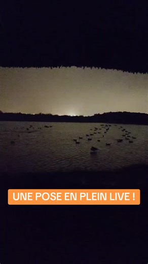 Pose en direct : Sauvetage épique au live !