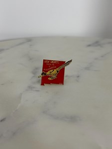 New Mexico Roadrunner Enamel Pin: Red & Gold State Shape - Vintage Travel Accessory - Etsy