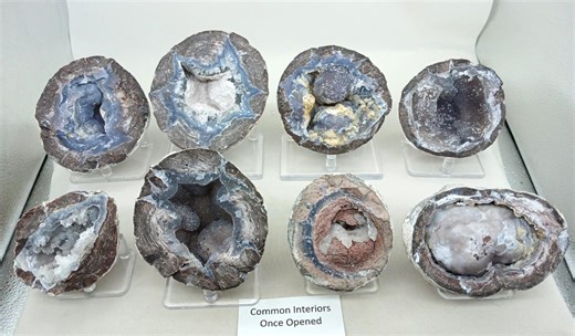 Utah Dugway Quartz Agate Geode Thundereggs, Guaranteed Hollow, Fluorescent, Mine Direct! - Etsy