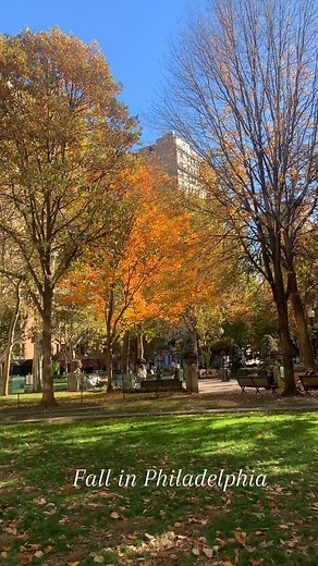 Another Fall in Philadelphia 🍂 | City of Philadelphia Government