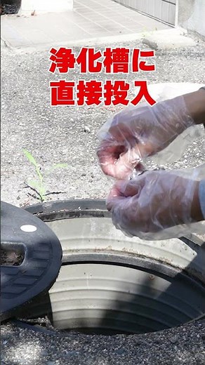 How to deal with moth flies in your septic tank! Getting rid of moth flies while they are still l...