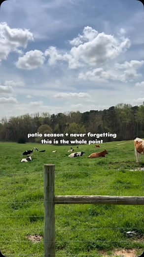 POV: It’s patio season at Howling Cow and life is just right. ☀️🍦 The sun’s out, the scoops are stacked, and you’ve got your favorite flavor in hand. Add a little fresh air on the farm and a seat on the patio? Instant mood boost. Stop in for a scoop (or three)! #POV #HowlingCow #WhatsYourScoop #NCStateEats #PatioSeasonVibes | NC State Howling Cow Ice Cream