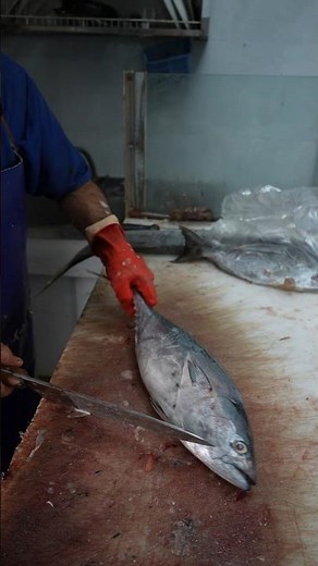 Top Tuna Steak Cuts for Grilling and Searing