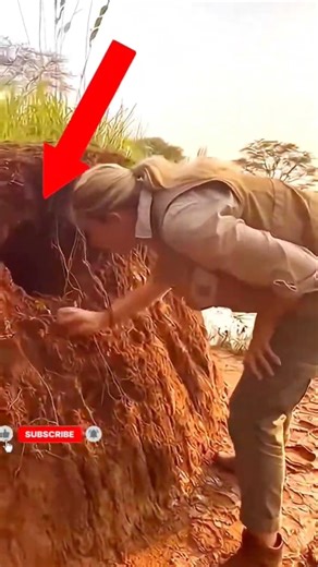 One Second Before Attack 😱” #viral #shorts #filefacty #viralvideos #trending #shortsviral