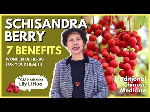 7 Amazing Schisandra Berry Benefits That You Must Know - GinSen Natural Health Guide