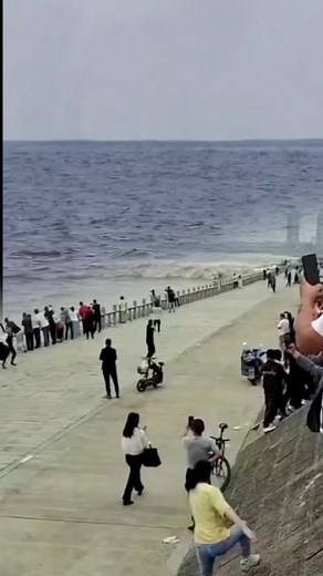 the biggest blue whale in the world #whale #gaint #foryou #dangerous #scary #naturebature #infotechfarsi #monster