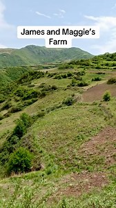 Sending love from our farm! Join us on the journey of herbal tea making - from seed to cup, crafted with care and gratitude. It all starts with wild-crafted herbs that grow with the flow, high in the Tibetan mountains. Shop $4.49 summer deal at Sprouts Farmers Market this month! Learn more at https://www.bravotea.com #journey #healthjourney #healthtips #herbaltea #herbaltealover #tealover #wildcrafted #organic #sprouts #healthybeverage #bravotea | Bravo Tea