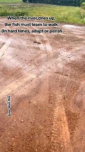 2.5M views · 59K reactions | When the river dries up, the fish must learn to walk. (In hard times, adapt or perish) | Time Will Tell | Facebook