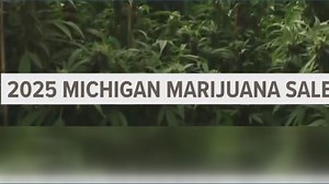 Recapping Michigan adult-use marijuana sales from 2025
