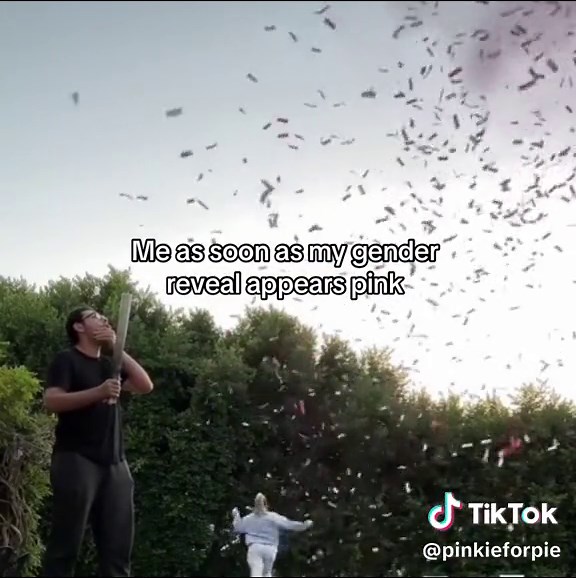 Excited for My Baby Girl! Sofia Richie Gender Reveal Congrats 🎀