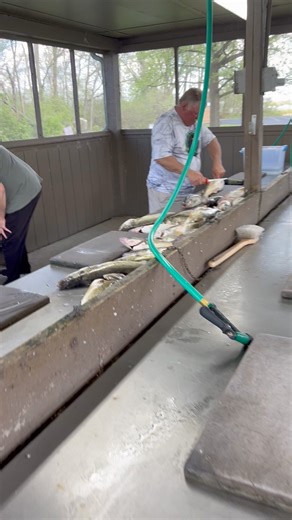 26K views · 74 reactions | Cleaning Fish with Coot #fishing #cootsclothing #fishfillet #howto | Coots Lures | Facebook