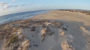 27 reactions | Growing tomatoes with the greated yield of fruit, these techniques are used in Israel to get the maximum amount a plant is able to produce. | All Things Israel | Facebook