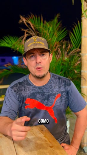 Finca Tierra Bendita on Instagram: "La ganadería no avanza por suerte, avanza por decisiones! Nada es de la noche a la mañana, pero hemos aprendido que la planificación y el mejoramiento genético no son un lujo! Son la base de una mejor producción y de la sostenibilidad. @fuegos_ec"