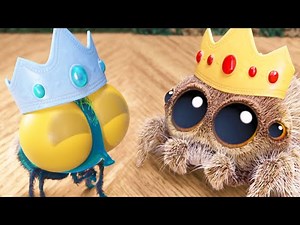 Findley and Lucas are in a Castle Fight?! | Lucas The Spider