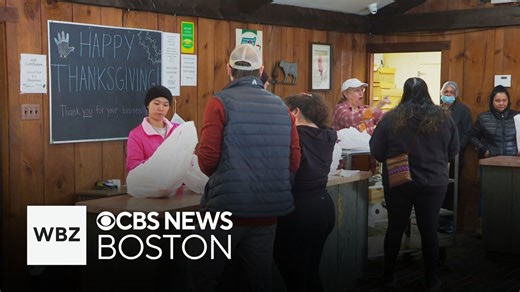 Massachusetts farms sell thousands of fresh turkeys ahead of Thanksgiving