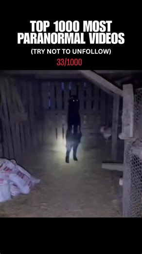 Paranormal Videos | In this video, a dark, unsettling creature is captured by a flashlight inside what appears to be a dimly lit barn or shed. The entity,... | Instagram