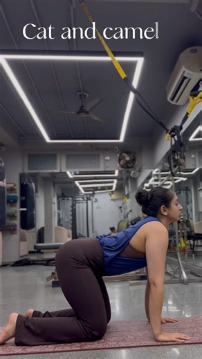 Cat and camel tutorial for relief from back pain