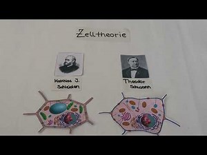 Die Zelle - Erklärvideo