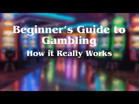 Beginner’s Guide to Gambling | How It Really Works