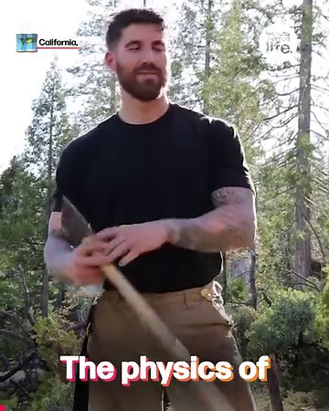 482K views · 2.1K reactions | This guy made chopping down this dead tree look easy 望 | Lessons Learned In Life | Facebook