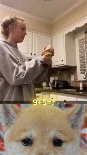 Correct Way 😃 #fail #fails #funny #funnyfails #funnyfail #epicfails #epicfail #failcompilation