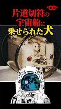 A dog put on a spaceship that can't return #space #scienceandtechnology