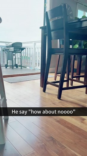 Funny Dogs Talking Back Compilation