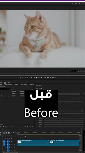 Color grading in premiere pro #aftereffects #editing #editor #premierepro #calligraphy #colorgrading
