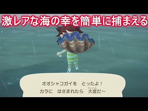 【あつ森】必見！捕るのが大変なオオシャコガイを簡単に捕まえる方法！【あつまれどうぶつの森】