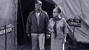 Berserk! - Apple TV