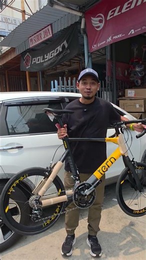 Mini Velo Tern Surge Pro