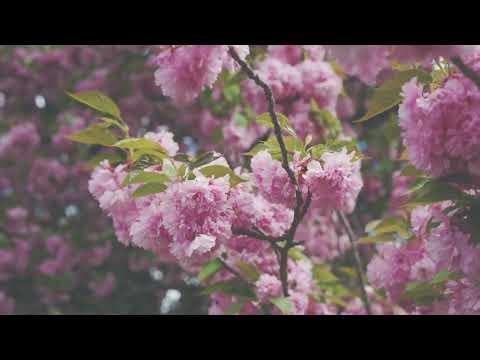 Wedding E Invite Background 4