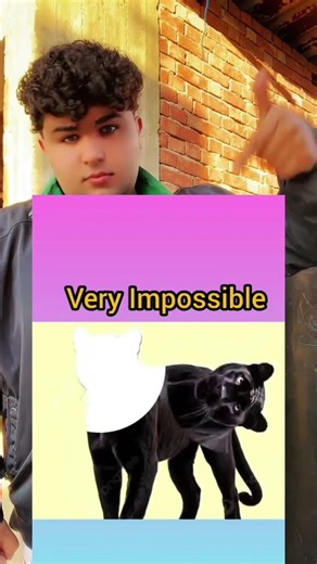 Test your reaction speed now🤔😳#shorts