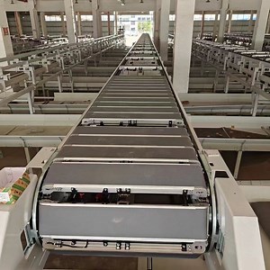 [Hot Item] High-Performance Linear Sorting Machine for Streamlined Inventory Management