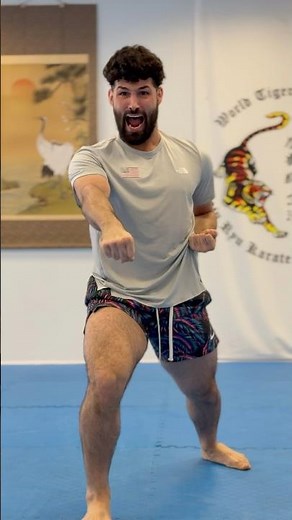 OHAN KATA | Ryuei Ryu Karate