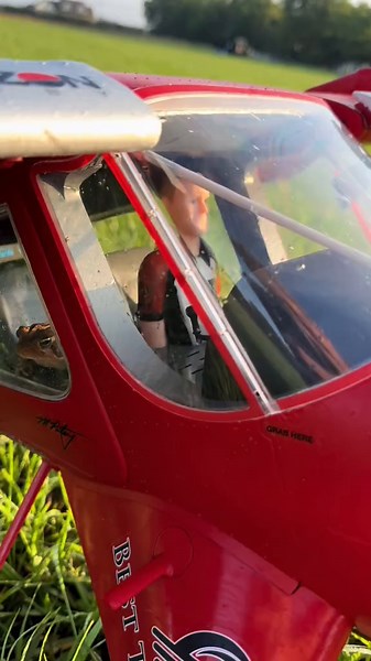 Toad Pilot Takes Flight in DIY RC Plane