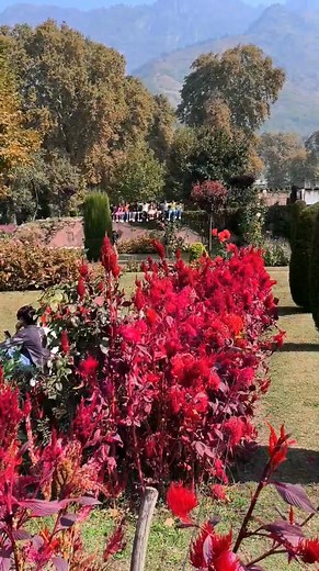 Mesmerizing view | Beauty explore