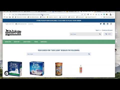 How to see what people search for on your Shopify site using Google Analytics