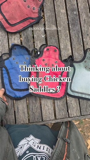 Chicken Saddle comparison #chickencare #petchickens #hen