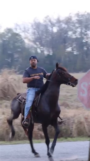 Instagram video by Golden Key Lens Photography • Dec 28, 2025 at 7:23 AM