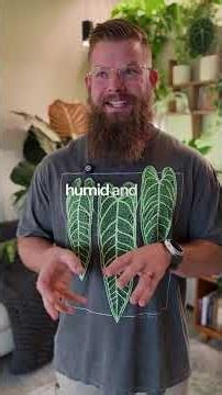 Does Humidity Actually Matter?