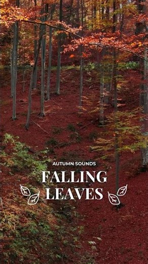 Sounds of Autumn: Falling leaves