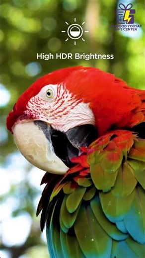 4K Smart LED TV with Voice Assistant | All Sizes – TCL, Samsung, LG & More