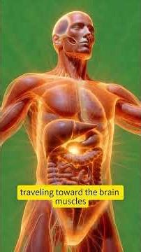 What Cinnamon Does to Your Stomach and Brain Is Terrifying#shorts #humanbody